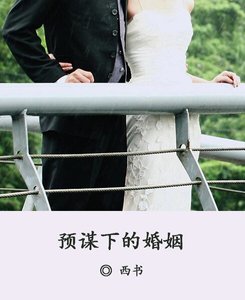 预谋下的婚姻/海潮