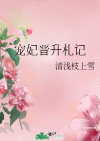 寵妃晉升札記